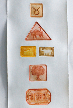 Stier | Taurus